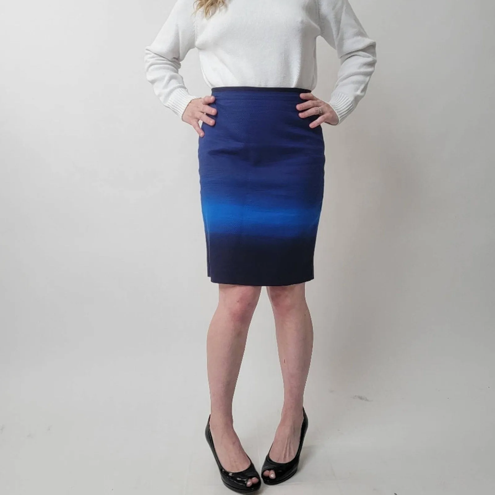Ann Taylor LOFT Ombre Pencil Skirt - 4P